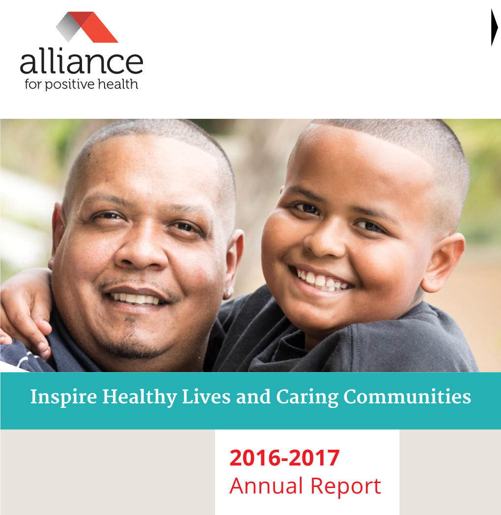 2016-2017 Annual Report BOARD of DIRECTORS