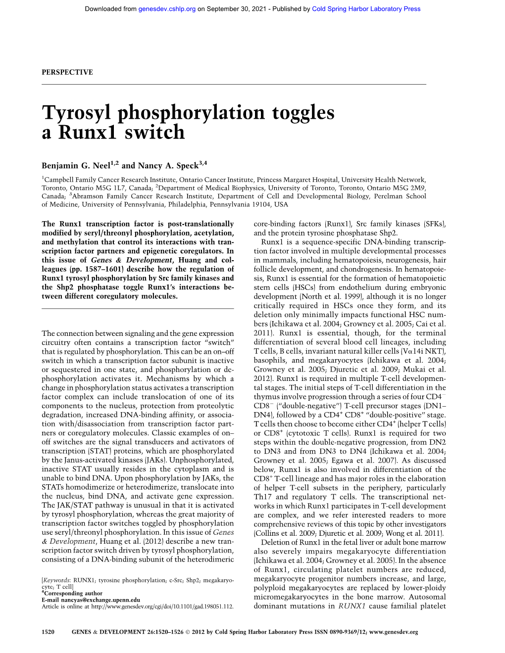 Tyrosyl Phosphorylation Toggles a Runx1 Switch