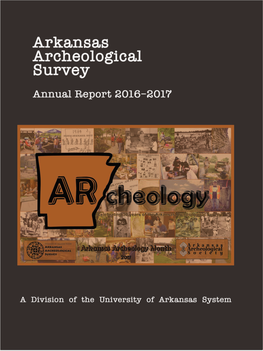 Annual Report for Fiscal Year 2016–2017