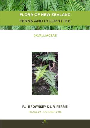 Flora of New Zealand Ferns and Lycophytes Davalliaceae Pj