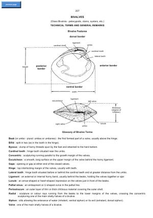 BIVALVES (Class Bivalvia - Pelecypods, Clams, Oysters, Etc.) TECHNICAL TERMS and GENERAL REMARKS