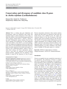 Conservation and Divergence of Candidate Class B Genes in Akebia Trifoliata (Lardizabalaceae)