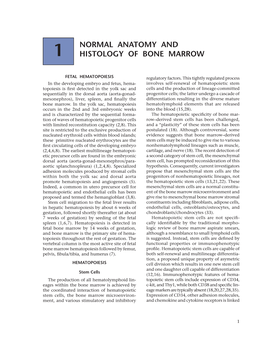 Normal Anatomy and Histology of Bone Marrow