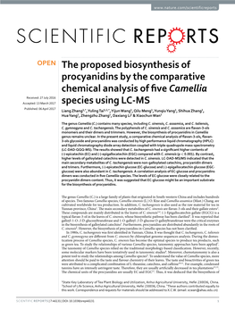 The Proposed Biosynthesis of Procyanidins by the Comparative