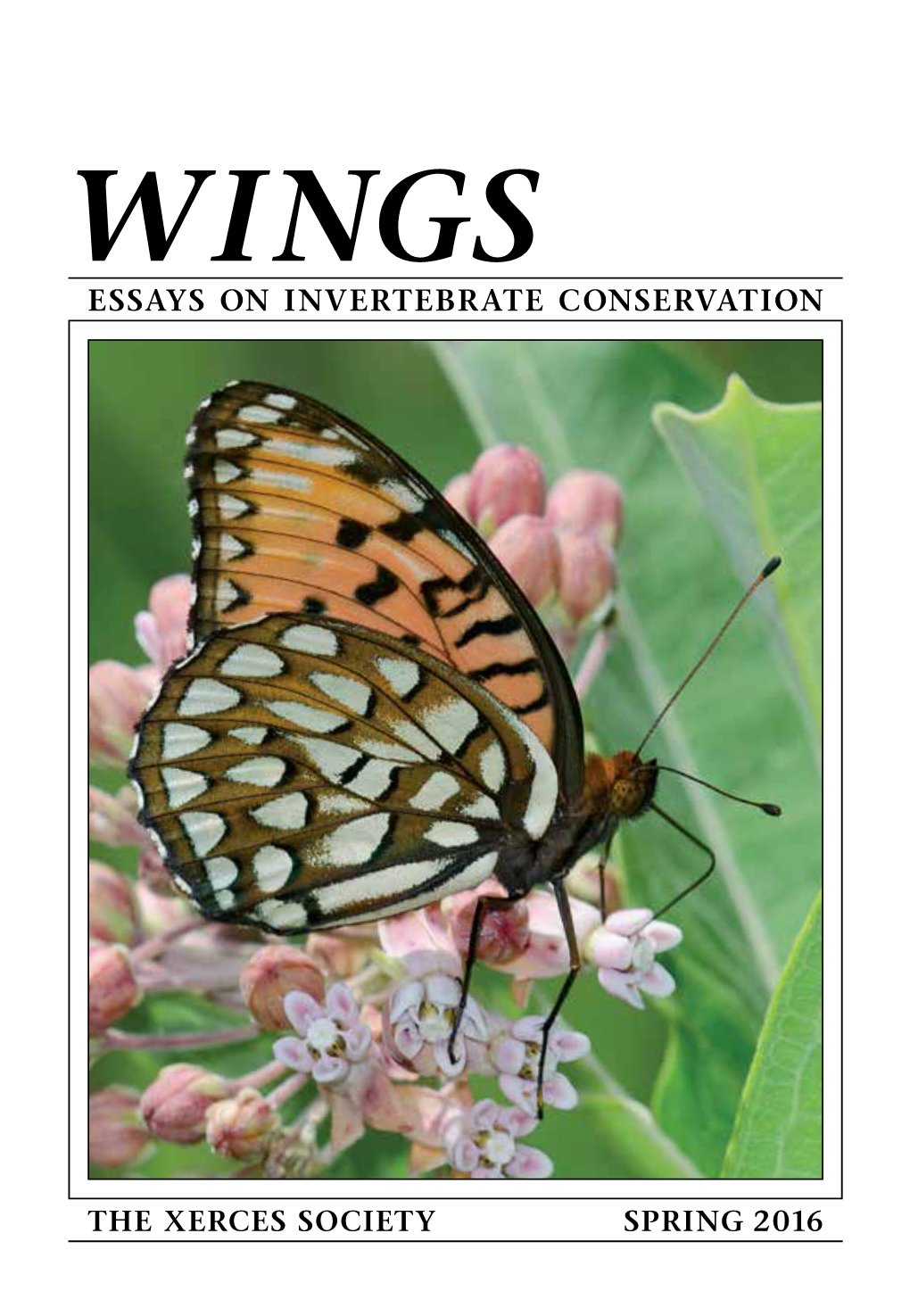 Essays on Invertebrate Conservation