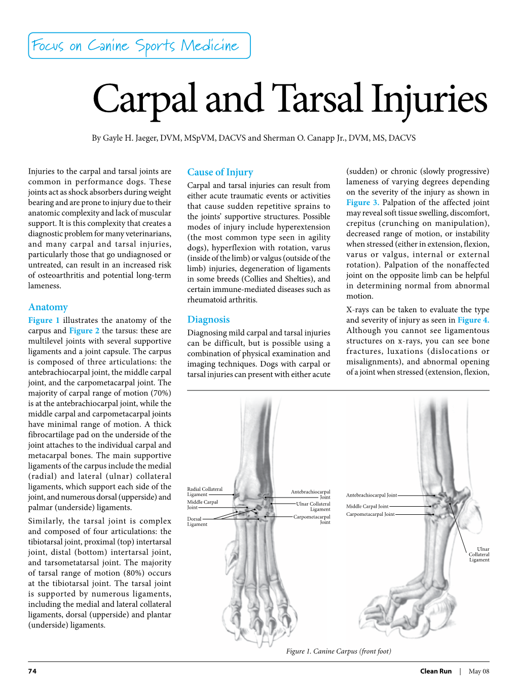 Carpal and Tarsal Injuries by Gayle H