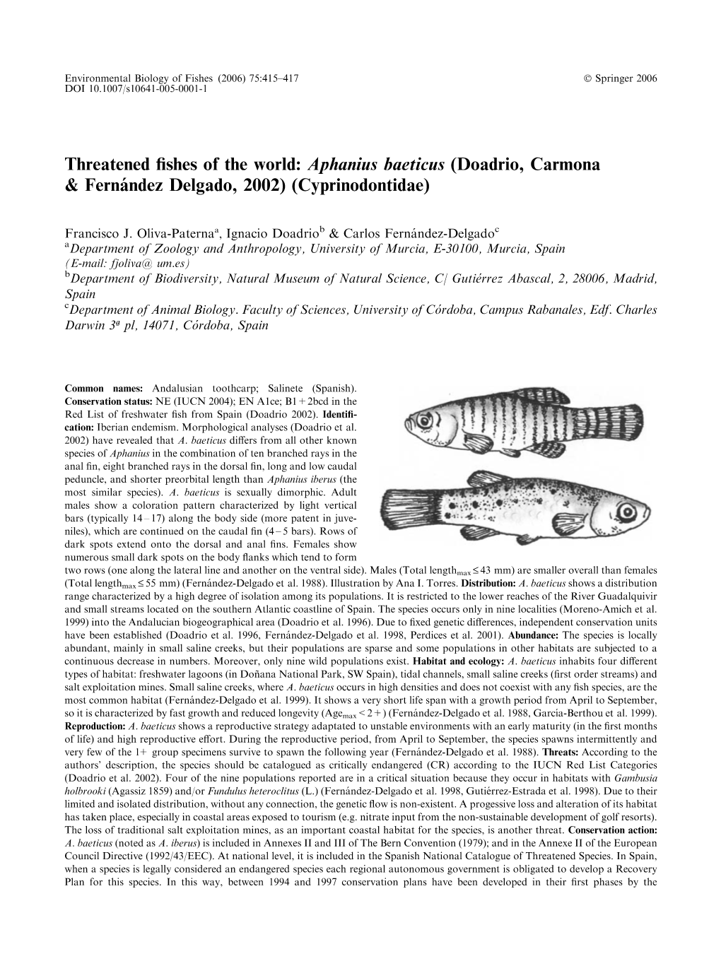 Aphanius Baeticus (Doadrio, Carmona & Ferna´Ndez Delgado, 2002) (Cyprinodontidae)