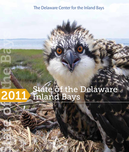 2011 State of the Delaware Inland Bays Report