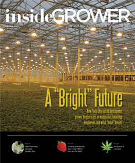New York City-Based Hydroponic Grower Brightfarms on Expansion, Retaining Employees and What “Local” Means