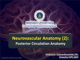 Neurovascular Anatomy (2): Posterior Circulation Anatomy