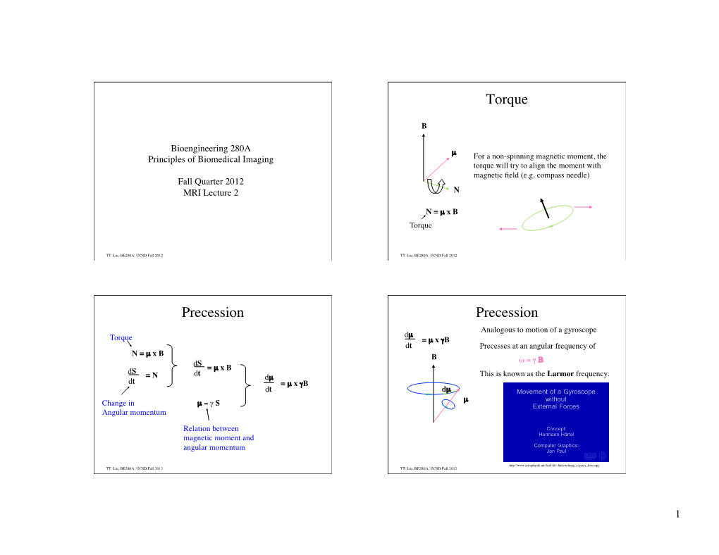 Torque Precession Precession