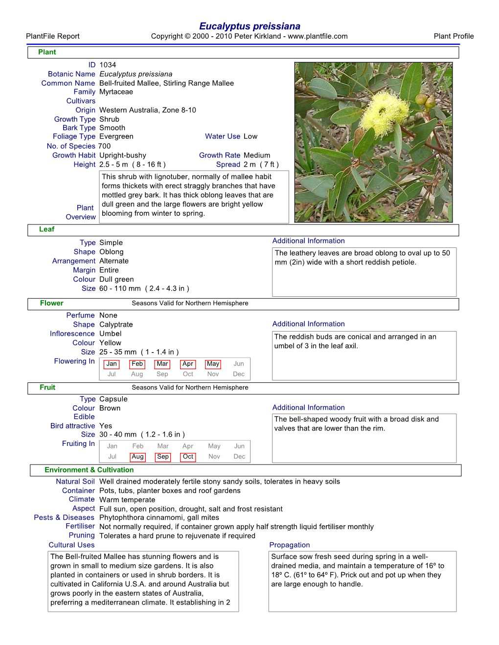 Plantfile Document