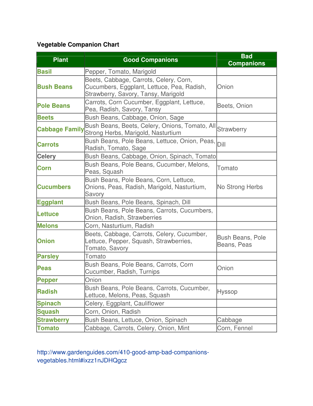 Companion Planting for Food Garden Success