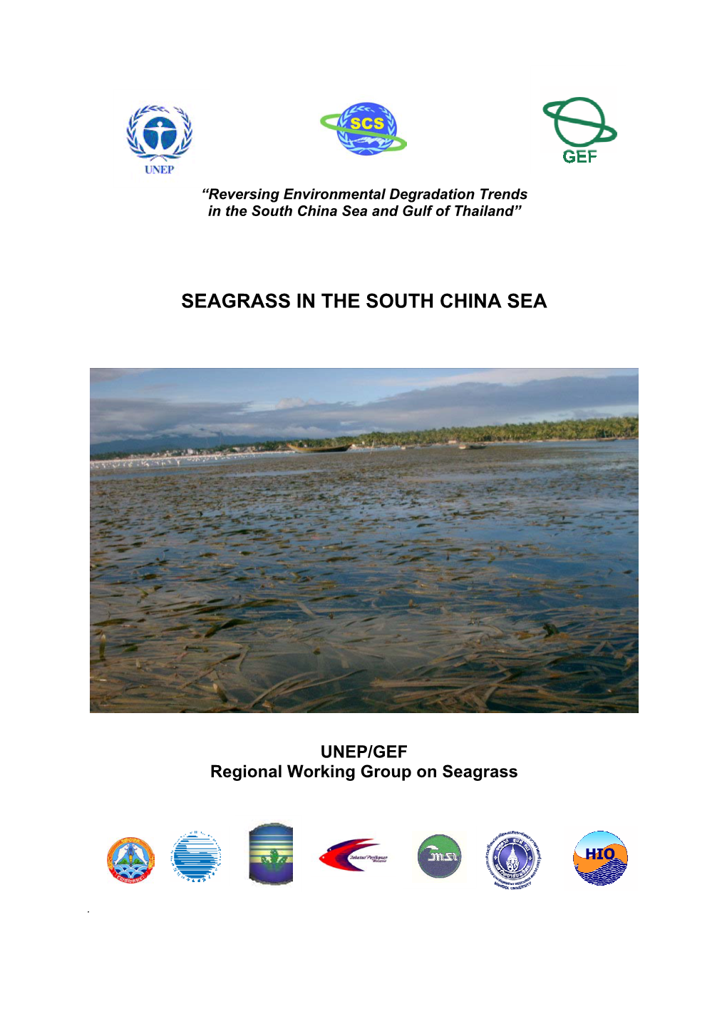 Seagrass in the South China Sea