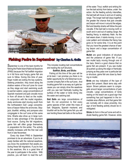 Fishing Padre in September by Charles A. Golla