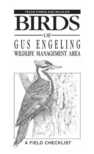 Birds of Gus Engeling Wildlife Management Area