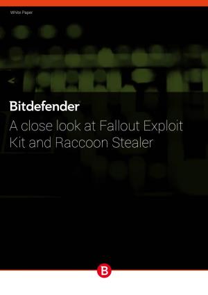 Fallout Exploit Kit and Raccoon Stealer White Paper