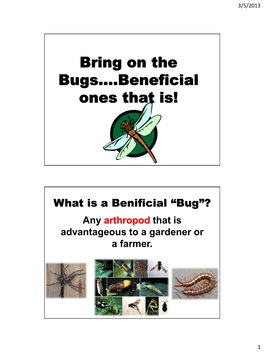 Bring on the Bugs….Beneficial Ones That Is!