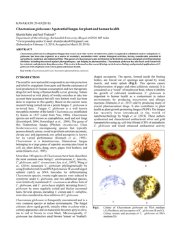 Chaetomium Globosum:A Potential Fungus for Plant and Human Health