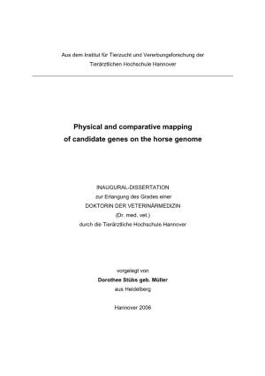 Physical and Comparative Mapping of Candidate Genes on the Horse Genome
