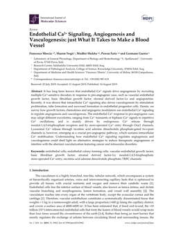 Endothelial Ca2+ Signaling, Angiogenesis and Vasculogenesis: Just What It Takes to Make a Blood Vessel