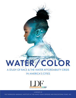 Water/Color a Study of Race & the Water Affordability Crisis in America's Cities