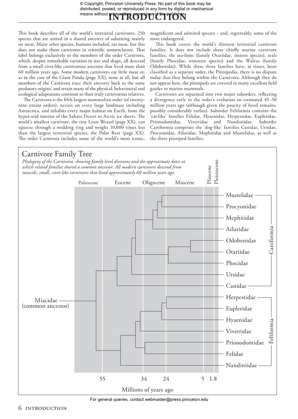 Carnivores of the World, Second Edition