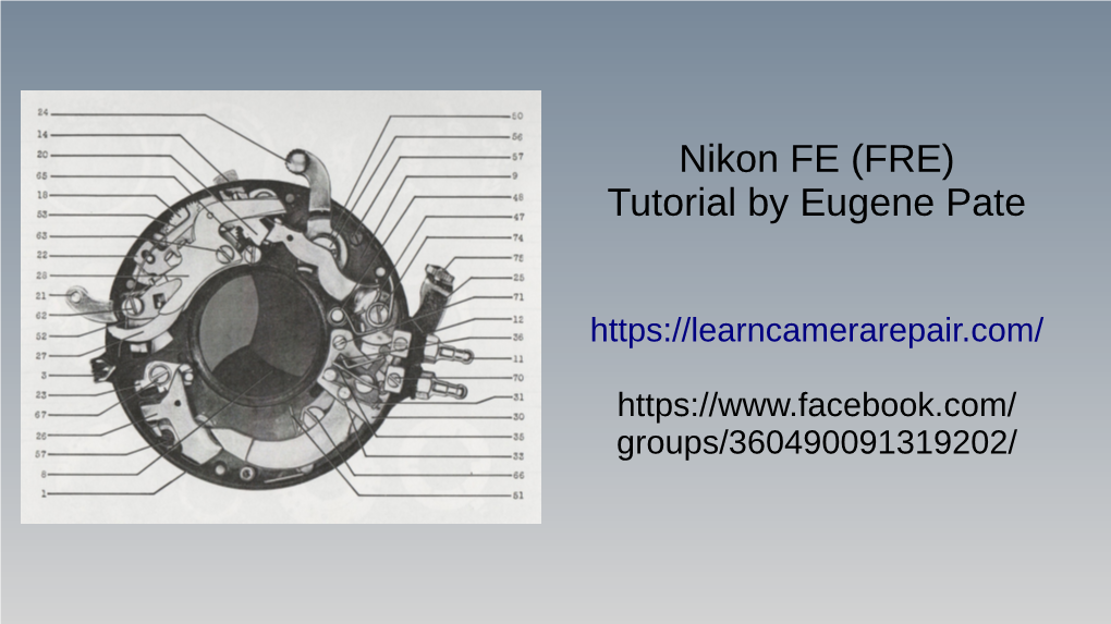 Nikon FE (FRE) Tutorial by Eugene Pate