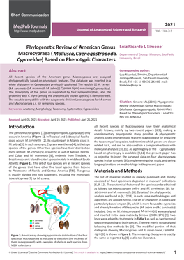 Phylogenetic Review of American Genus Macrocypraea(Mollusca, Caenogastropoda, Cypraeidae) Based on Phenotypic Characters