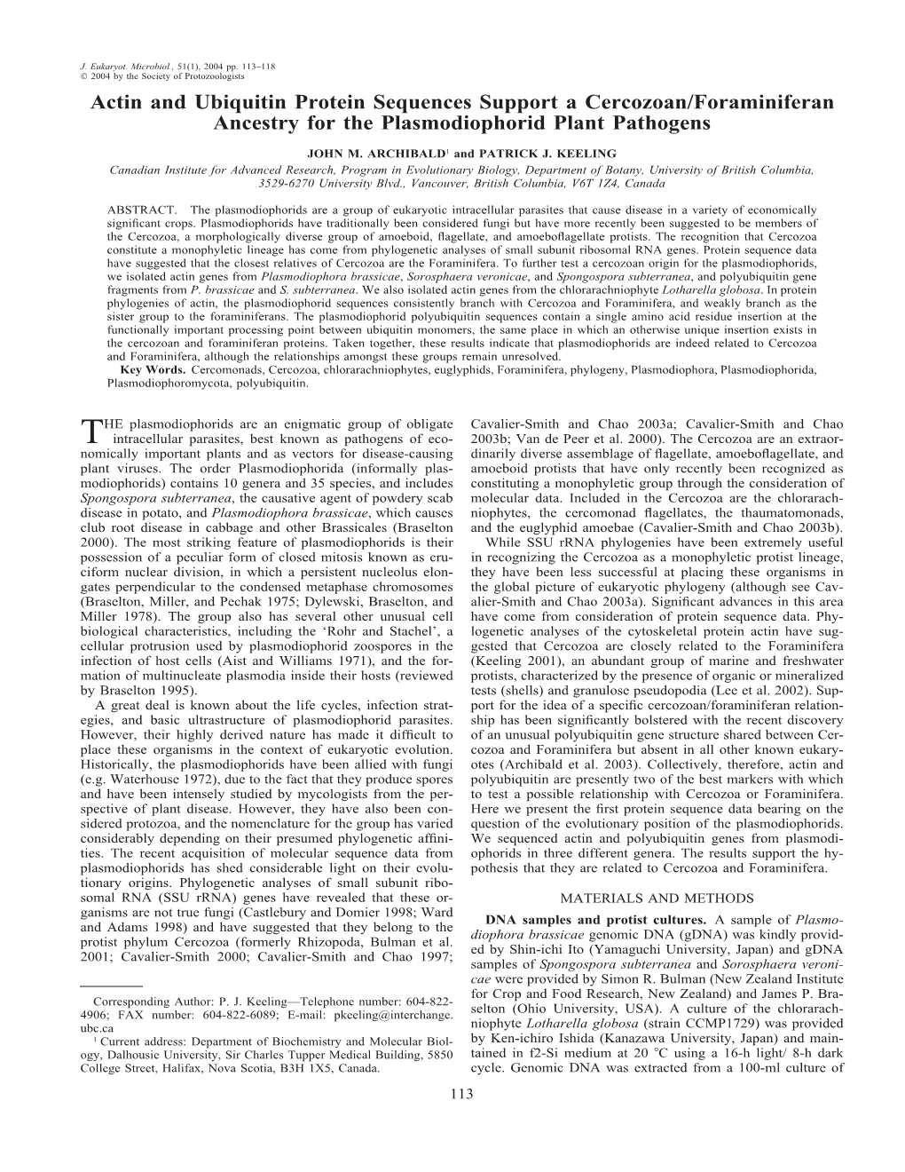 Actin and Ubiquitin Protein Sequences Support a Cercozoan/Foraminiferan Ancestry for the Plasmodiophorid Plant Pathogens