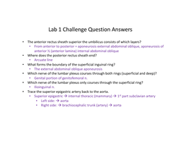 Lab 1 Challenge Question Answers