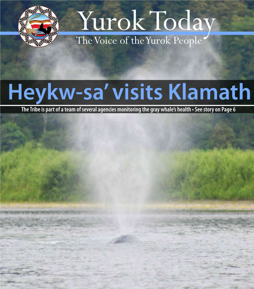 2011 July Yurok Today Newsletter