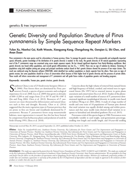 Pinus Yunnanensis by Simple Sequence Repeat Markers