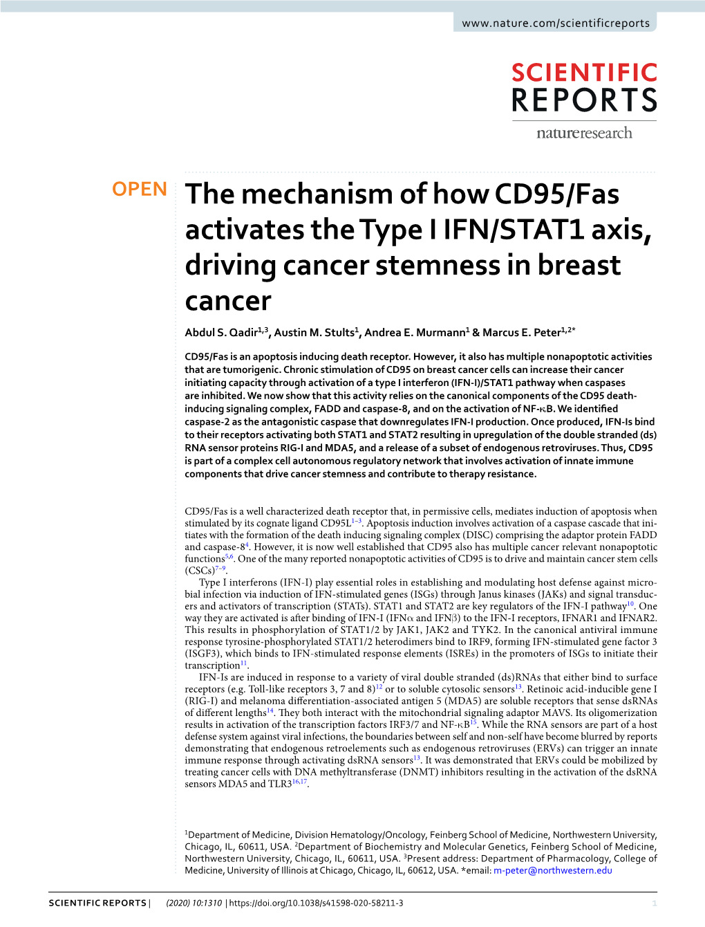 The Mechanism of How CD95/Fas Activates the Type I IFN/STAT1 Axis, Driving Cancer Stemness in Breast Cancer Abdul S