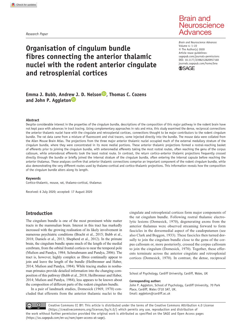 Organisation of Cingulum Bundle Fibres