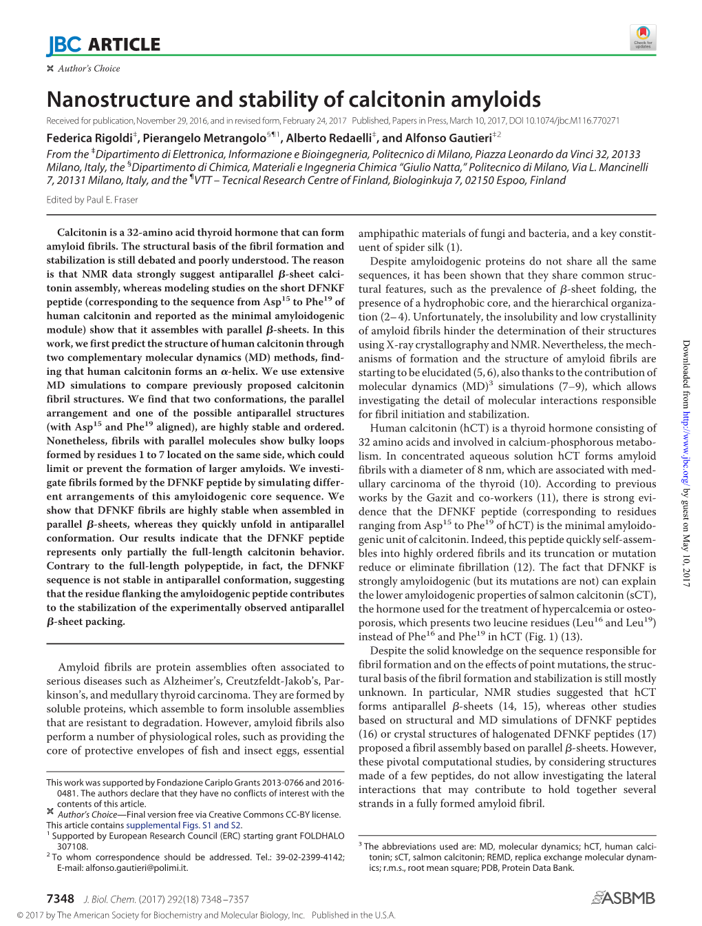 Nanostructure and Stability of Calcitonin Amyloids