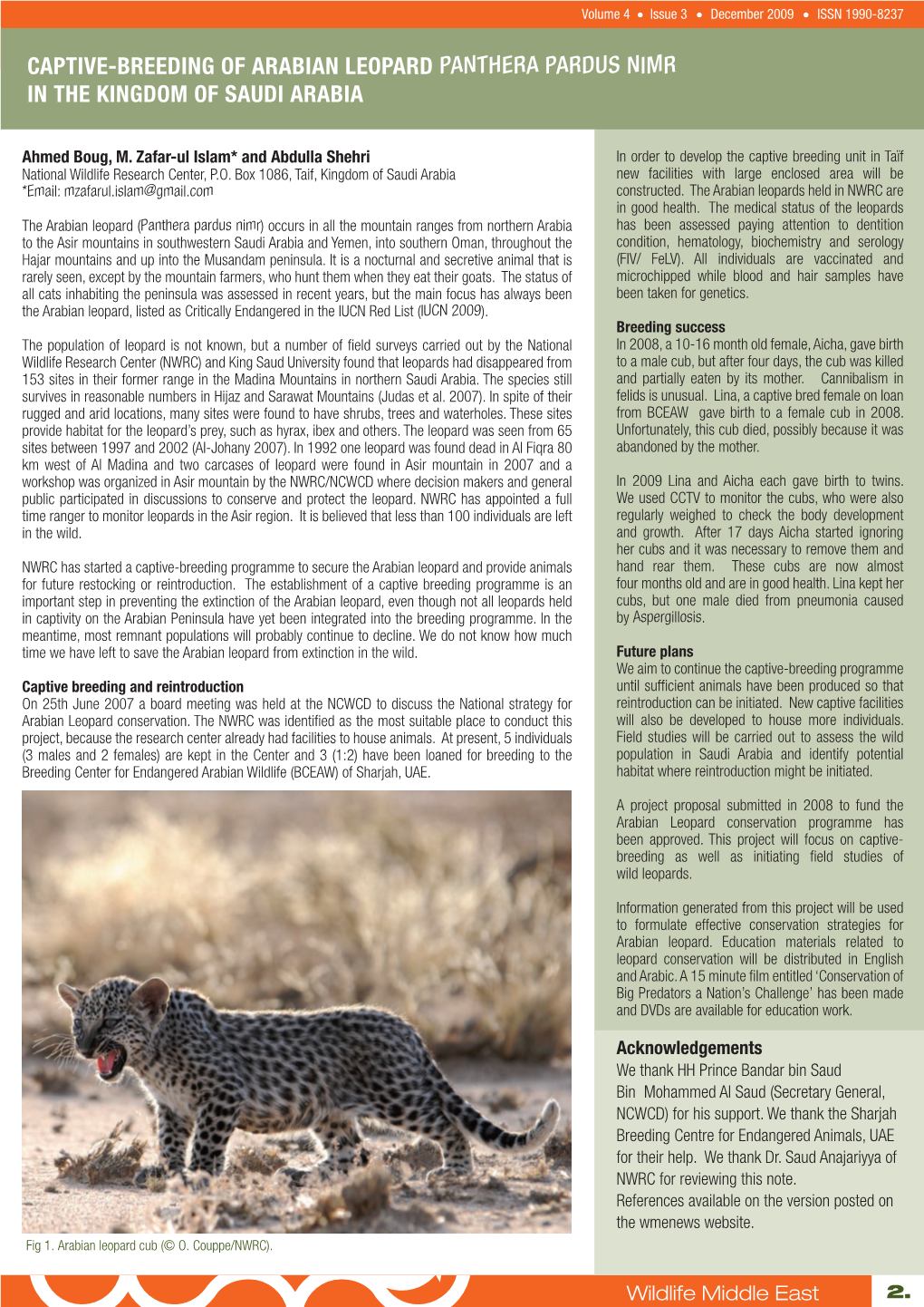 Captive-Breeding of Arabian Leopard Panthera Pardus Nimr in the Kingdom of Saudi Arabia