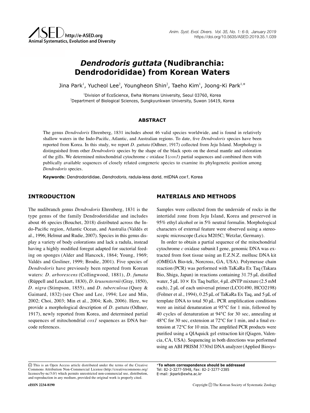 Dendrodoris Guttata (Nudibranchia: Dendrodorididae) from Korean Waters