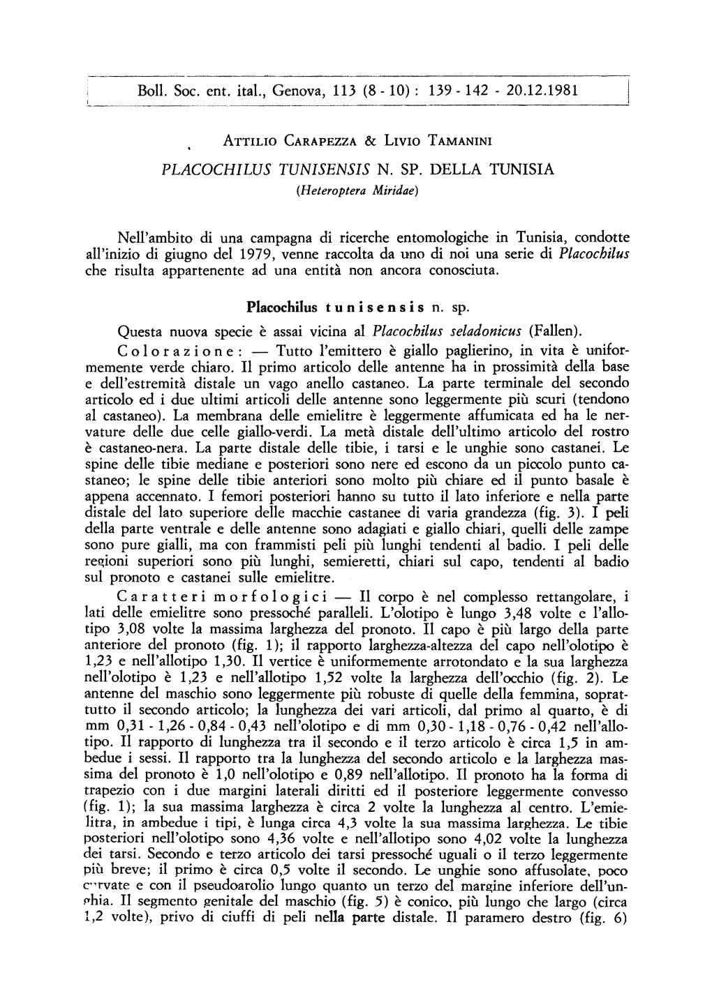 20.12.1981 Ohia. II Segmento Genitale Del Maschio (Fig. 5)