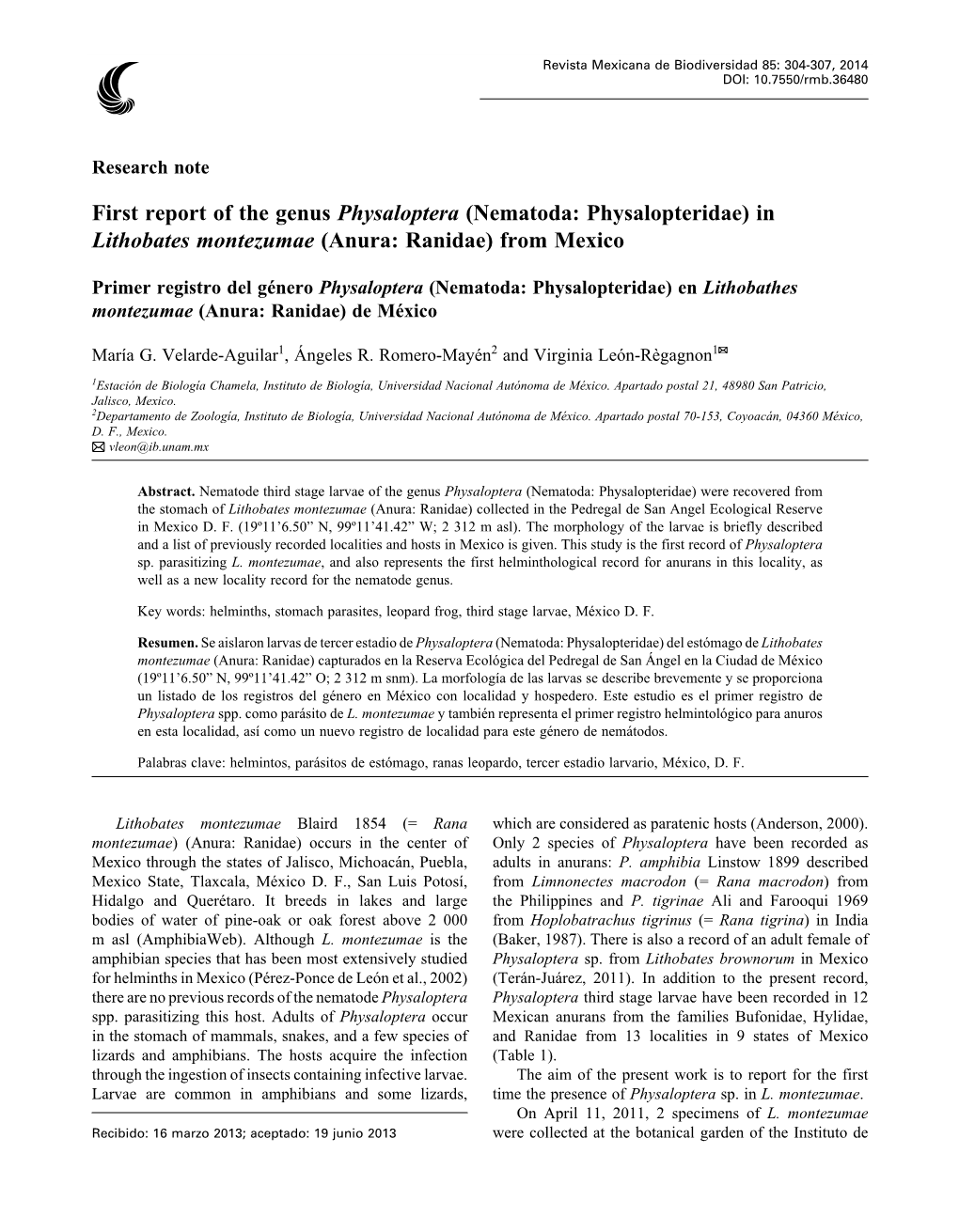 First Report of the Genus Physaloptera (Nematoda: Physalopteridae) in Lithobates Montezumae (Anura: Ranidae) from Mexico