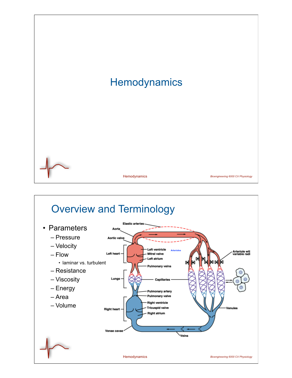 Hemodynamics Overview and Terminology