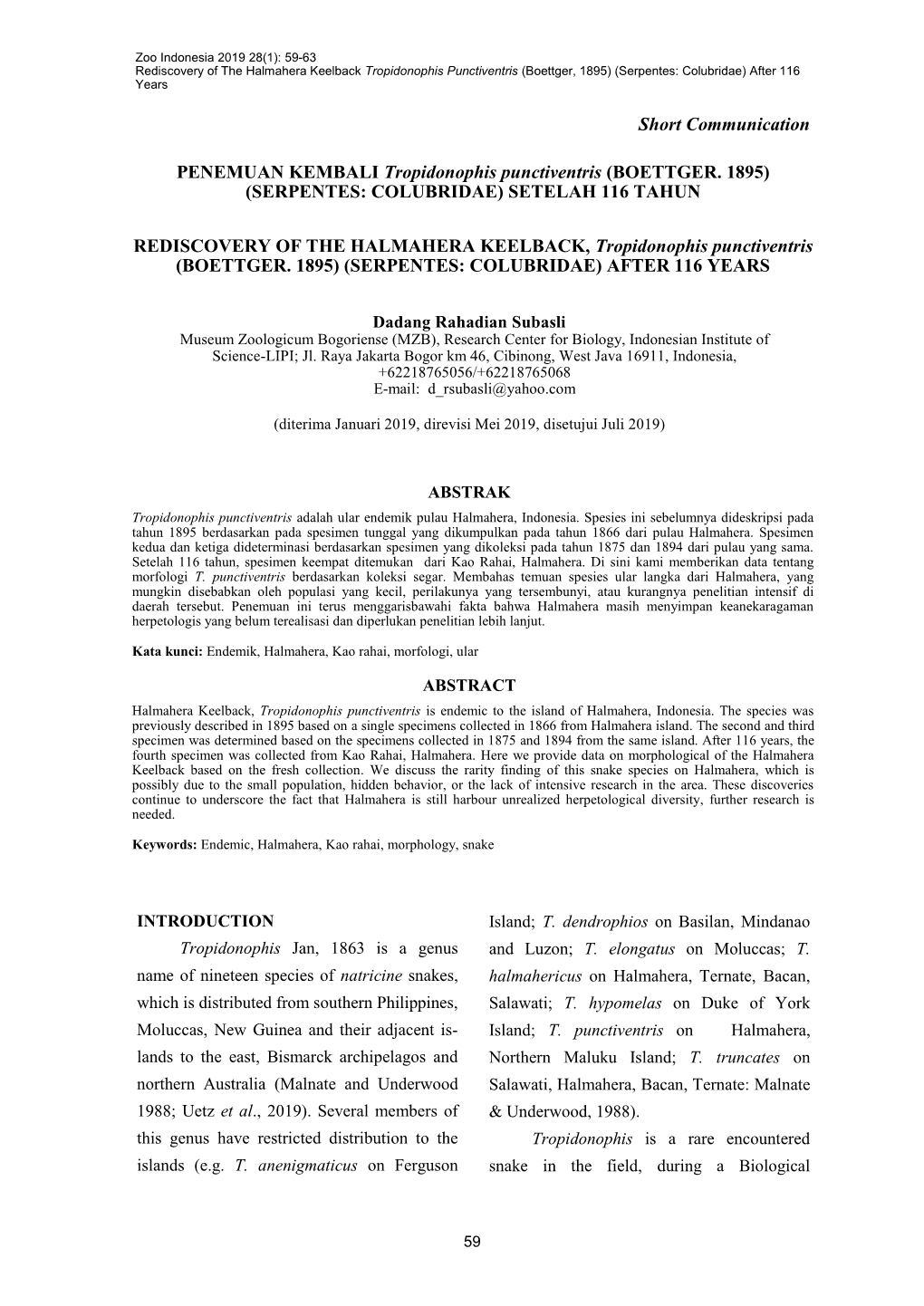 PENEMUAN KEMBALI Tropidonophis Punctiventris (BOETTGER. 1895) (SERPENTES: COLUBRIDAE) SETELAH 116 TAHUN