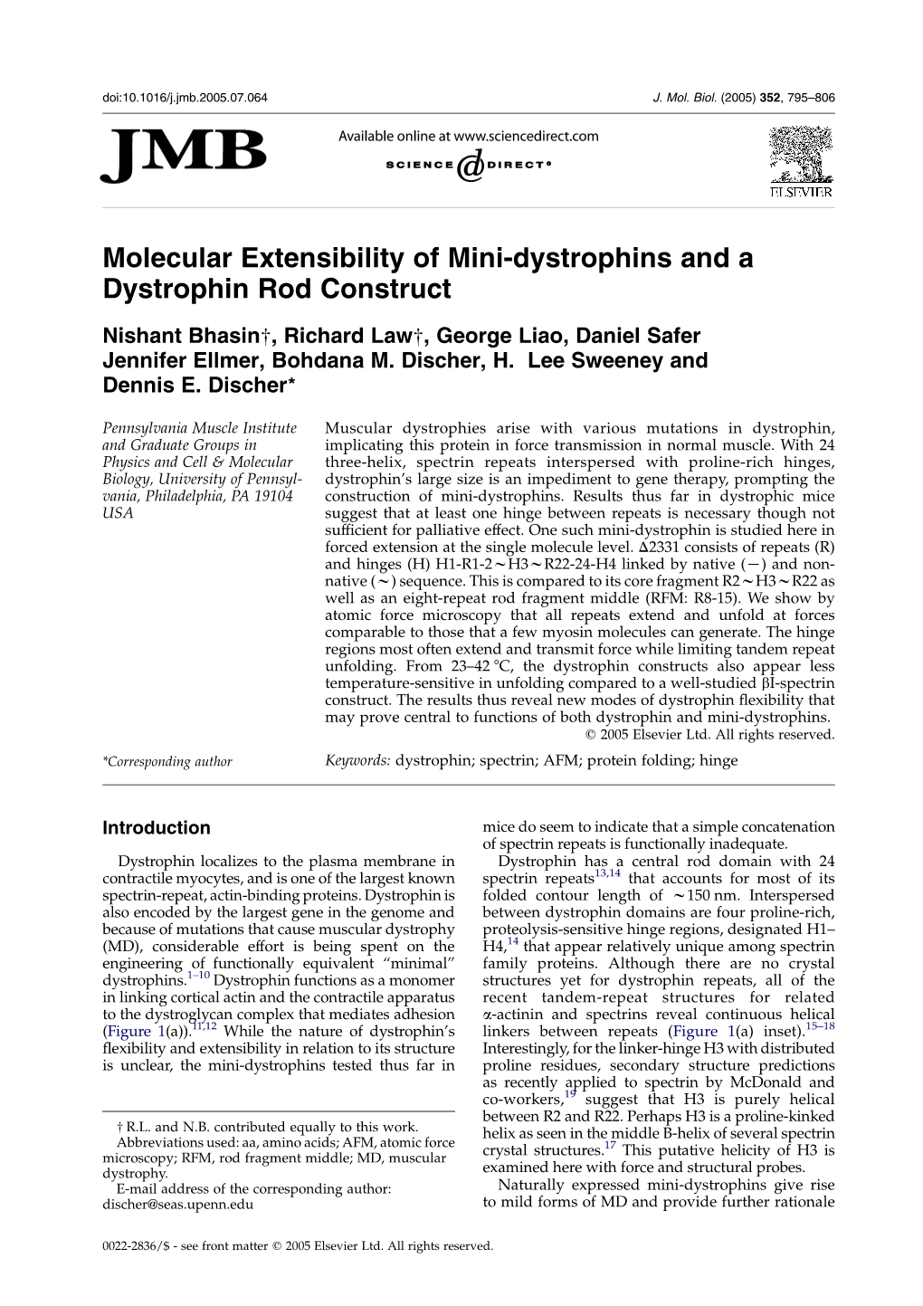 Molecular Extensibility of Mini-Dystrophins and a Dystrophin Rod Construct