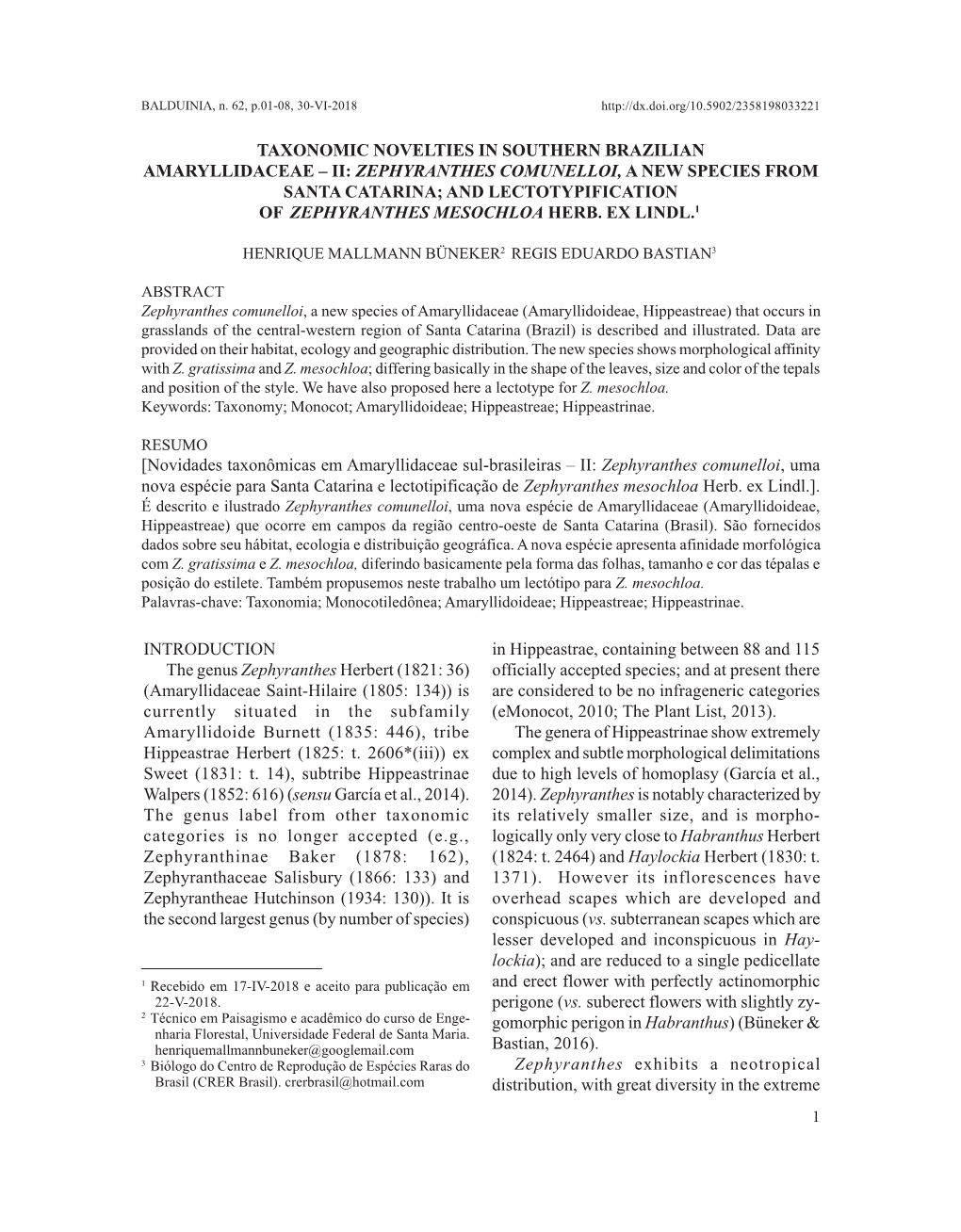 Taxonomic Novelties in Southern Brazilian