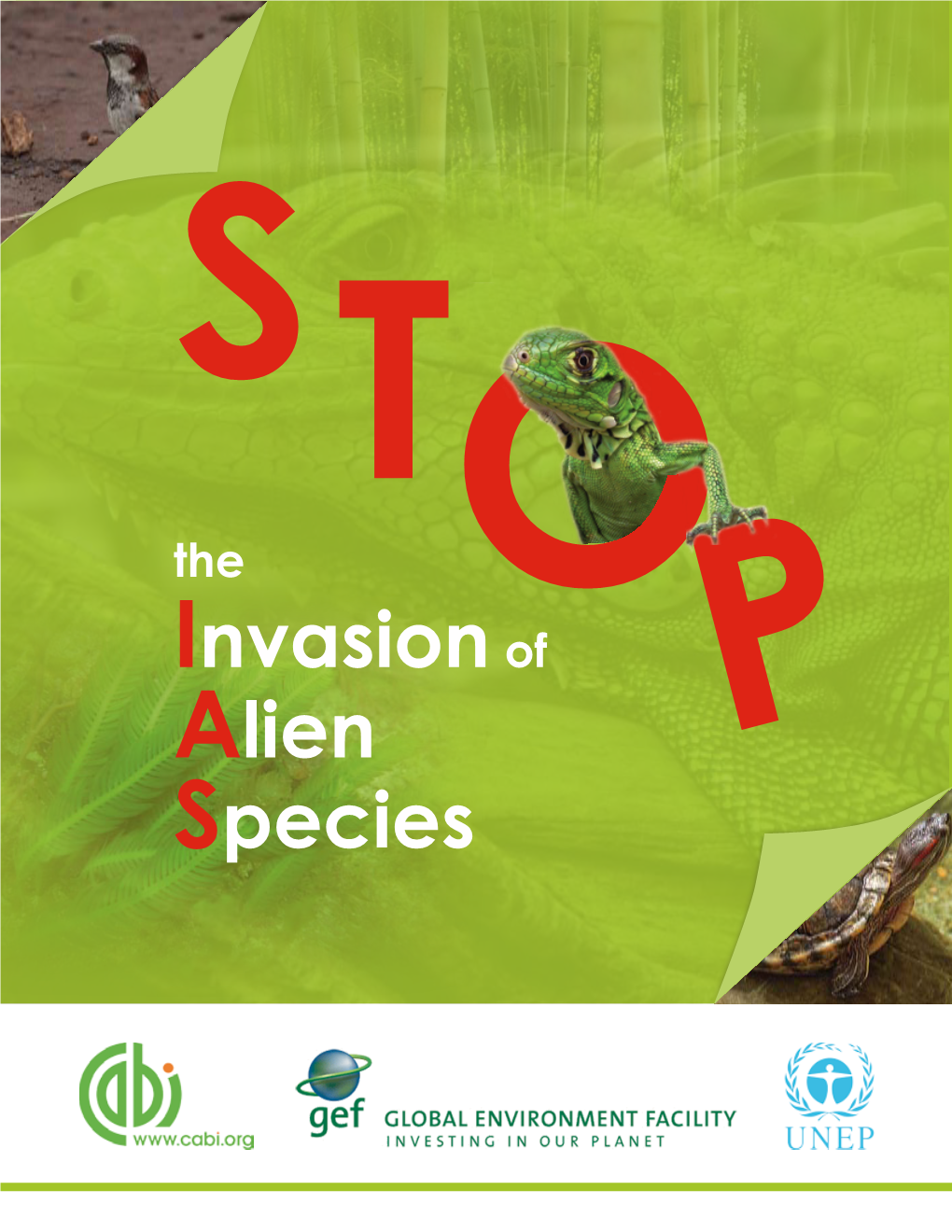 Stop the Invasion of Alien Species
