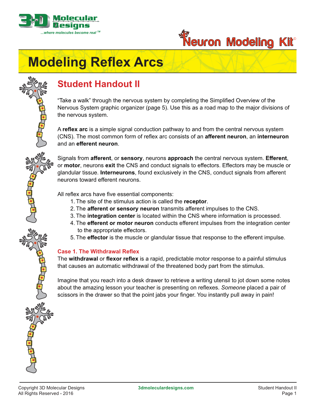 Modeling Reflex Arcs