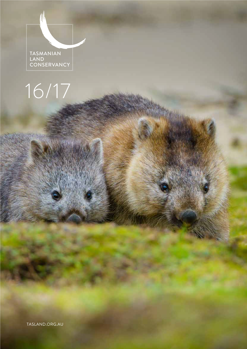 Annual Report 2016-17 Tasmanian Land Conservancy Annual Report 2016-17 3 REPORT from the CHAIR