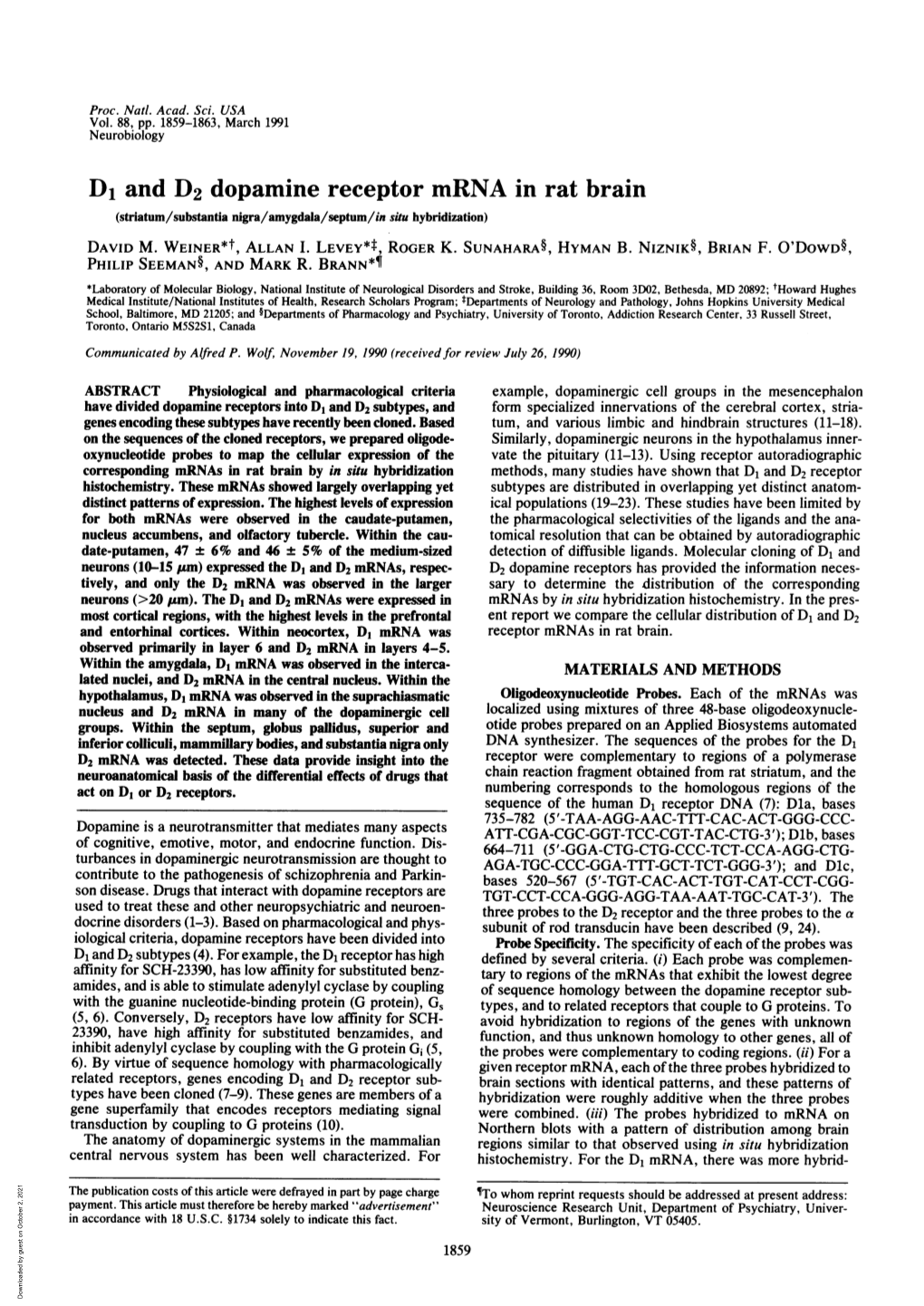 D1 and D2 Dopamine Receptor Mrna in Rat Brain (Striatum/Substantia Nigra/Amygdala/Septum/In Situ Hybridization) DAVID M