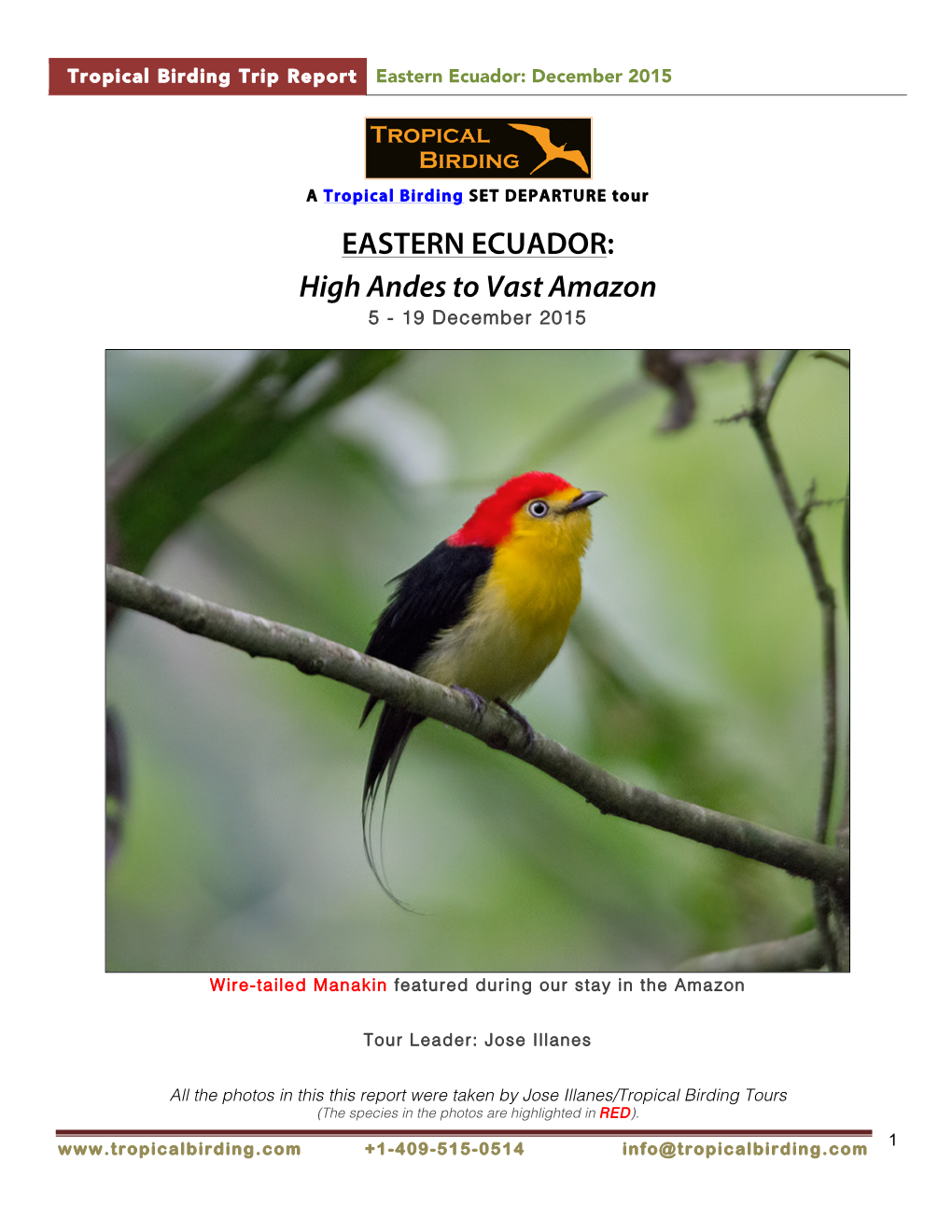 Eastern Ecuador: December 2015