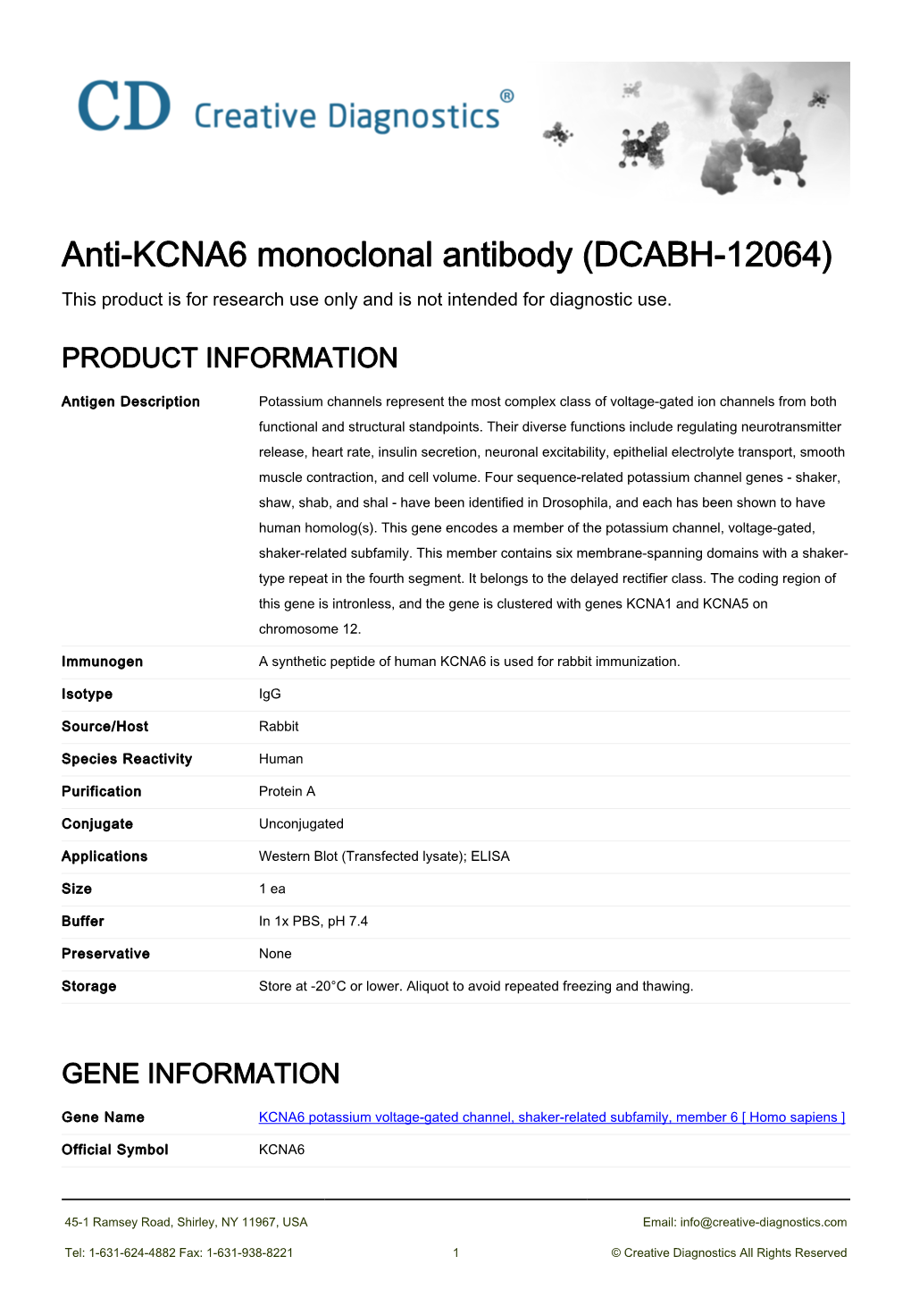 Anti-KCNA6 Monoclonal Antibody (DCABH-12064) This Product Is for Research Use Only and Is Not Intended for Diagnostic Use